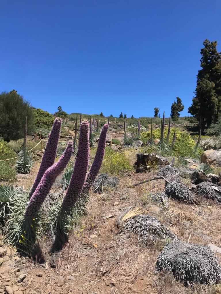 Finca Caboquitos Garafía 外观 照片