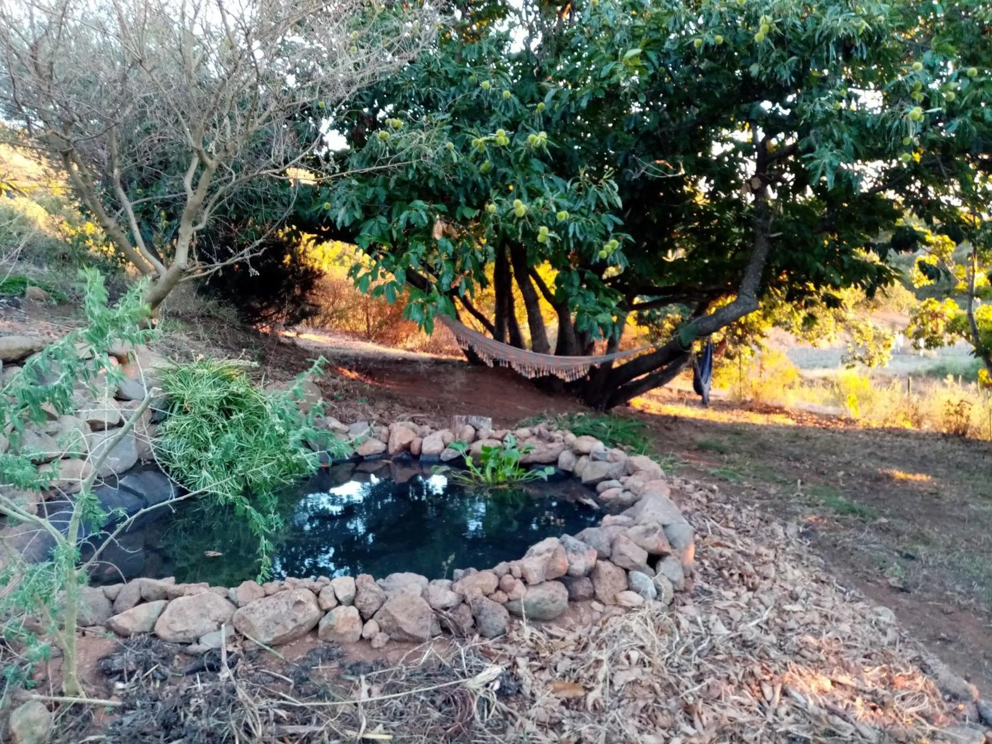 Finca Caboquitos Garafía 外观 照片
